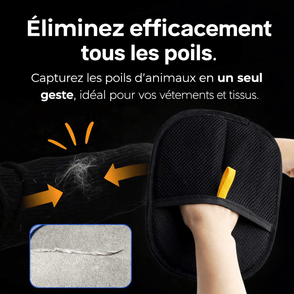 Gant Anti-Poils Réutilisable pour Chien & Chat — MonCompagnon