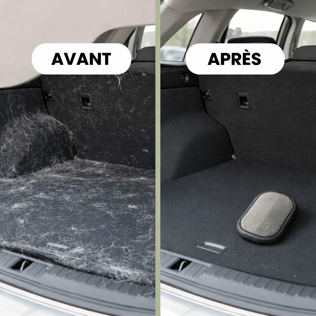 Gant Anti-Poils Réutilisable pour Chien & Chat — MonCompagnon