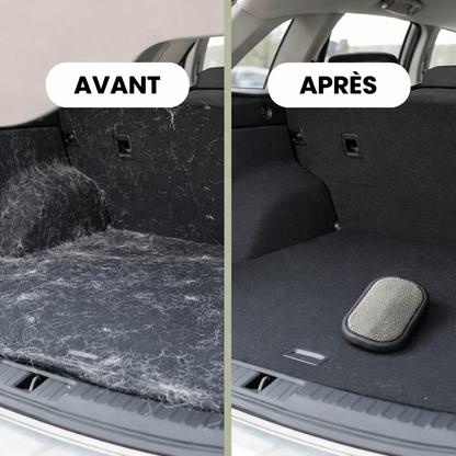 Gant Anti-Poils Réutilisable pour Chien & Chat — MonCompagnon