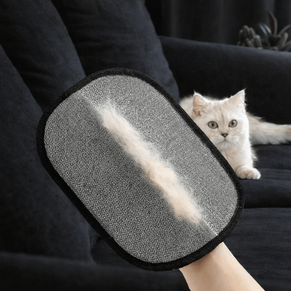 Gant Anti-Poils Réutilisable pour Chien & Chat — MonCompagnon