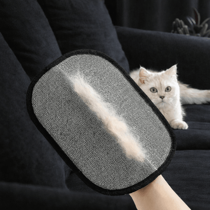 Gant Anti-Poils Réutilisable pour Chien & Chat — MonCompagnon