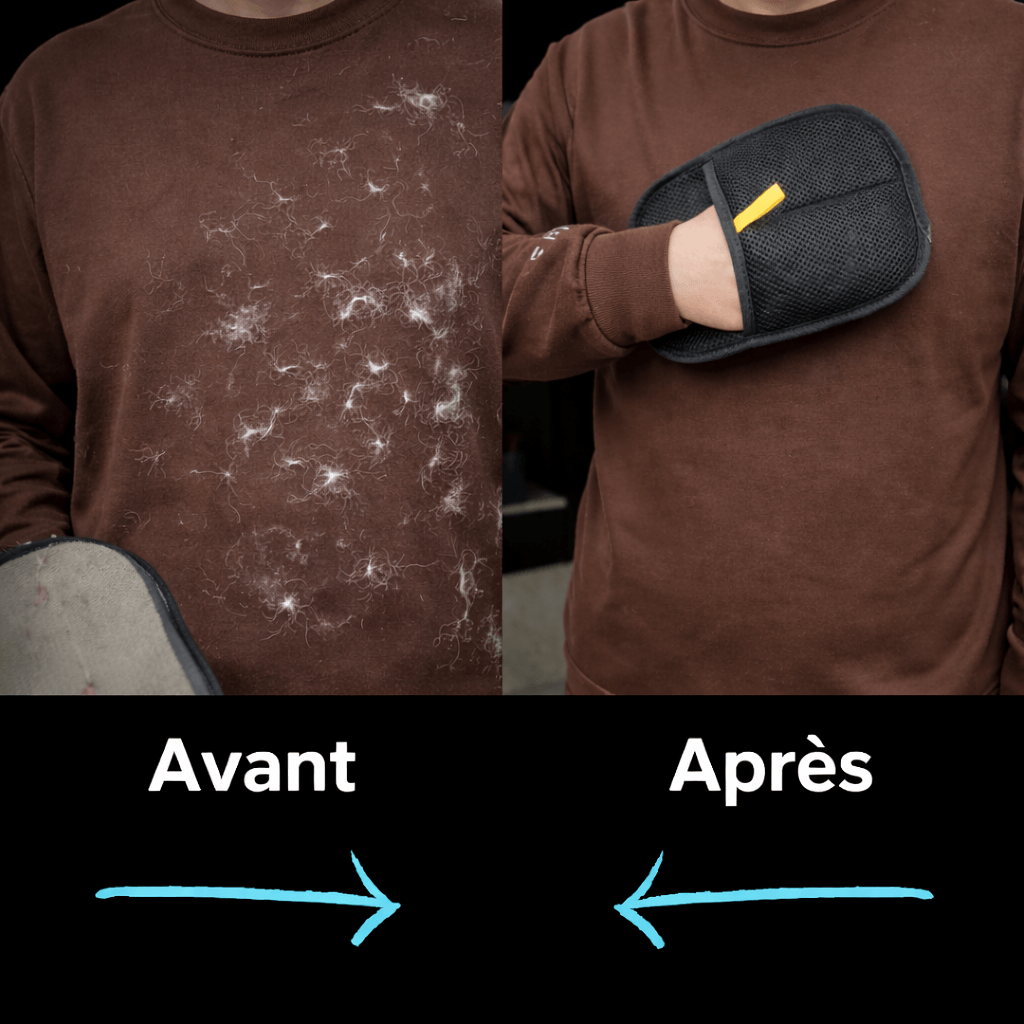 Gant Anti-Poils Réutilisable pour Chien & Chat — MonCompagnon