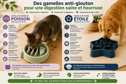 Gamelle Anti-Glouton pour Chien & Chat — Poisson & Étoile — MonCompagnon
