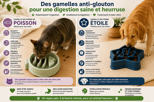 Gamelle Anti-Glouton pour Chien & Chat — Poisson & Étoile — MonCompagnon